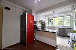 Blk 170 Stirling View (Queenstown), HDB 3 Rooms #557831651
